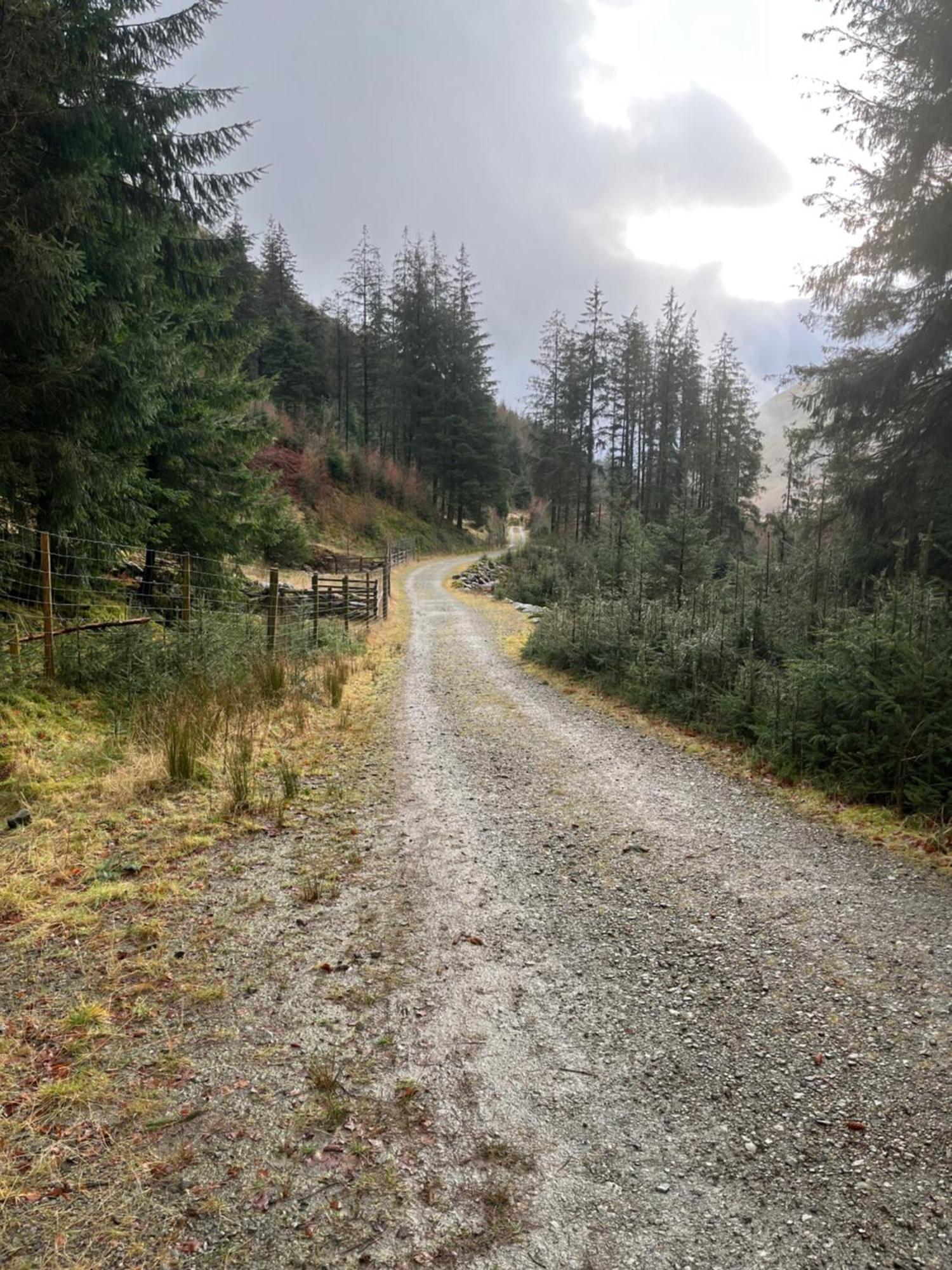 The Shepherd's Nook Thirlmere